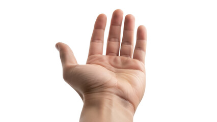 Fototapeta premium Open human hand PNG isolated on transparent background, palm up in a gesture of offering or greeting, skin texture visible