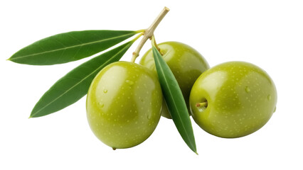 Three green olives on a branch with leaves isolated PNG, fresh and healthy Mediterranean diet ingredient on transparent background