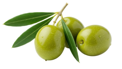 Three green olives on a branch with leaves isolated PNG, fresh and healthy Mediterranean diet ingredient on transparent background