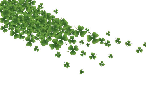 A large group of green four leaf clovers scattered on isolated white background for st patricks day