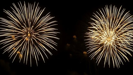 Beautiful fireworks exploding in the night sky