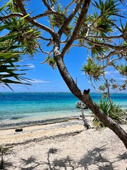 A stunning view of the thriving coral reef, stunning blue ocean and white sand beach surrounded by lush palm trees, coconuts and beautiful nature on Vanuatu's famous "Mystery Island" (Inyeug).