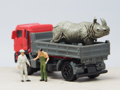 Mini toy of action figure at table with blur background. Miniature photography concept design. Minifigure of zookeeper character and big rhinocheros with truck at conservation zoo. Saving wild animal.