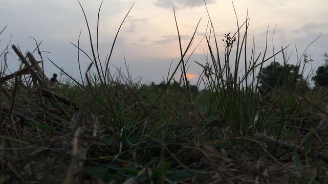 Atmospheric sunset footage showing children in silhouette with a bicycle against a warm evening sky. The sequence captures childhood, cycling, family bonding, outdoor recreation, freedom