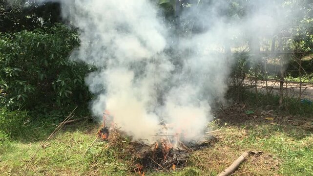 Close-up footage of dry grass and vegetation burning outdoors, producing dense white smoke in a rural environment. The video highlights themes of biomass burning, environmental pollution, air quality