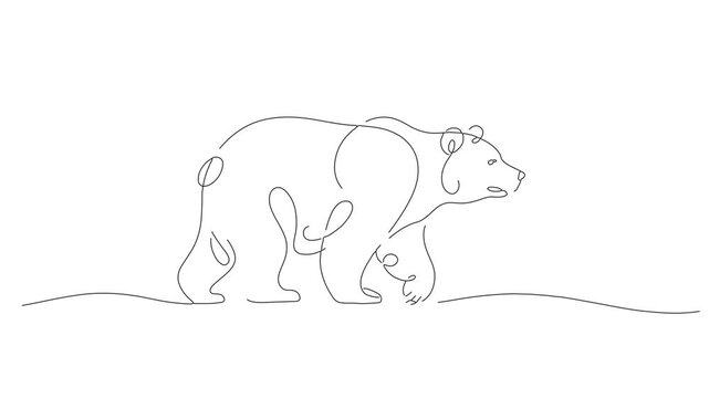 Continuous line drawing of a wild brown bear, abstract walking animal, one line art concept