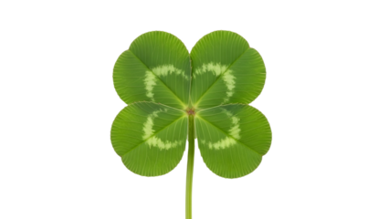 Four-leaf clover with heart-shaped pattern in the center isolated on a transparent background heart pattern