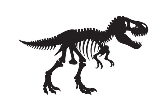 T rex dinosaur skeleton negative space silhouette isolated on white background