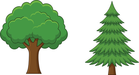 Cartoon deciduous and coniferous trees on a white background evergreen pine © Monir Worlds
