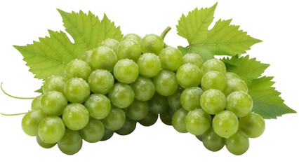 Fototapeta premium Fresh green grapes PNG isolated on transparent background, juicy fruit with water droplets for healthy eating and summer designs