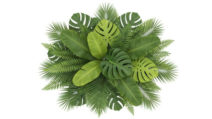 Tropical plant arrangement PNG isolated on transparent background, lush green foliage with monstera and palm leaves for decoration © Cian