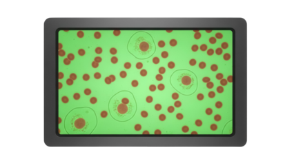 Microscopic view of cells on a screen isolated PNG, showing cell structures and interactions for scientific research and educational purposes