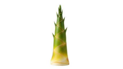 Fresh bamboo shoot isolated PNG, edible young sprout with green leaves for Asian cuisine and healthy eating on transparent background
