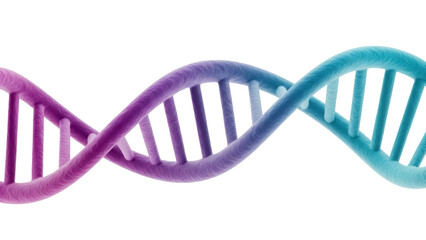 Colorful DNA double helix isolated PNG, genetic code molecule on transparent background for science and medical research