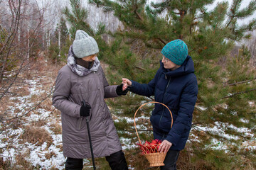 Woman extends red pine cone Christmas ornament to elderly woman for decorating live forest pine tree. Holiday kindness concept for Christmas.