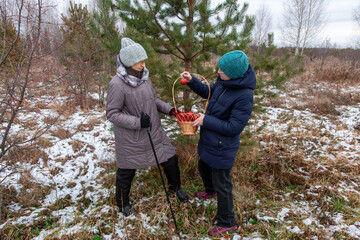 Two women decorating live forest tree with red Christmas ornament. Active lifestyle and family love for environmental holiday.