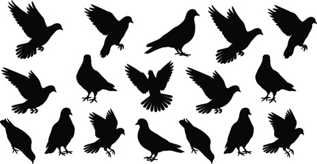 Black bird silhouettes collection, flying pigeon poses, avian icon set, minimal vector, wildlife design, isolated shapes, graphic illustration, symbol pack