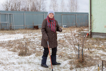 Elderly woman with a cane standing outside in a snowy country house yard, preparing garden plants for cold winter protection. Seasonal gardening.
