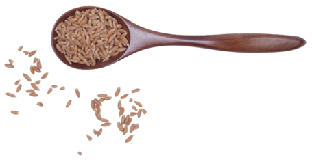 Isolated wooden spoon with spelt groats on a white background