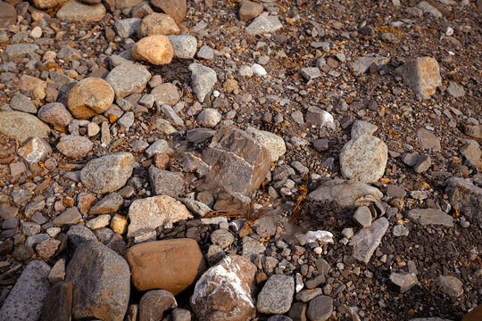 Close Up of Rocks and Pabbles on Ground