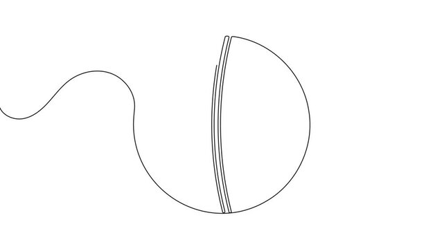 Cricket ball icon sign continuous one line drawing single art international sport equipment new and clean symbol 4k animation video