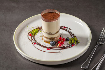 Elegant tiramisu style dessert with cocoa and layered cream