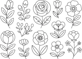 Hand Drawn Floral Line Art Flower Collection