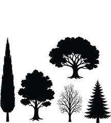 Fototapeta premium Set of black tree silhouettes including pine and oak for nature landscape design