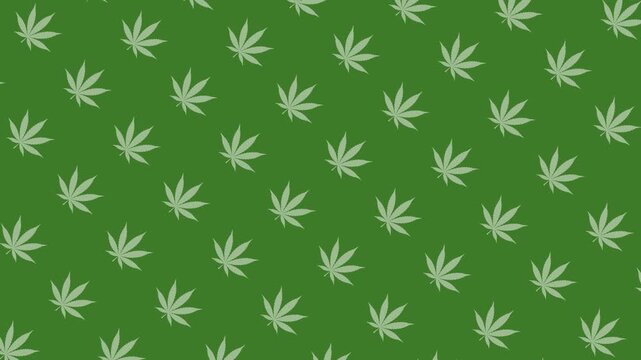 Seamless Marijuana Leaf Pattern Background Animation | Looping Cannabis Design