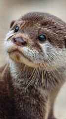 cute baby otter close-up face, adorable expression, shallow depth of field