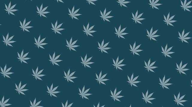 Animated Seamless Cannabis Leaf Pattern
