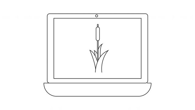 Laptop displays cattail on screen