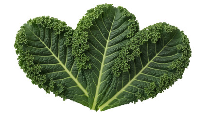 Fresh green kale leaves isolated PNG on transparent background, healthy leafy vegetable for cooking and salads