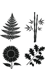Fototapeta premium Black botanical silhouette set with fern, bamboo, and sunflower on white background