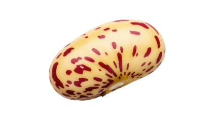 Speckled bean PNG isolated on transparent background, colorful legume seed for food ingredient and agricultural use