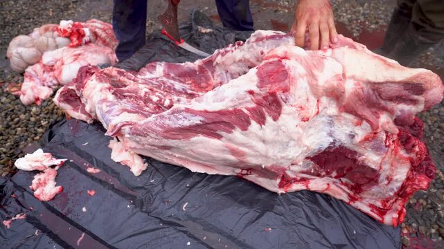 butcher cutting pork meat traditionally. 4k video.