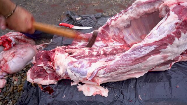 butcher cutting pork meat traditionally. 4k video.