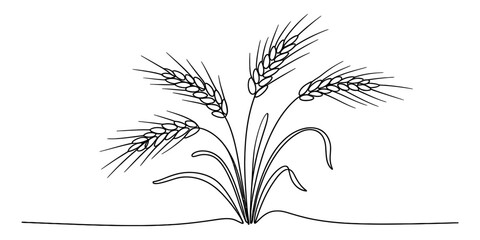 A black and white minimalistic line art illustration of a bundle of wheat stalks Vector, illustration