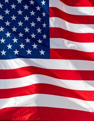 Obraz premium flag of usa