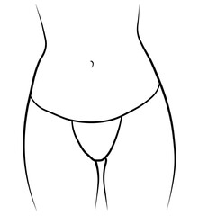 Woman swimsuit bikini panties hand drawn