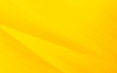 abstract yellow and black are light pattern with the gradient is the with floor wall metal texture soft tech diagonal background black dark sleek clean modern.