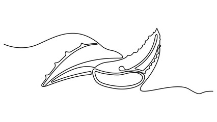 Obraz premium Aloe vera plant sketch, simple vector illustration, background, label design. One single line drawing of healthy organic, One continuous line drawing art illustration with lettering organic aloe vera