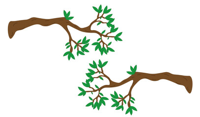 two tree branches on a white background,