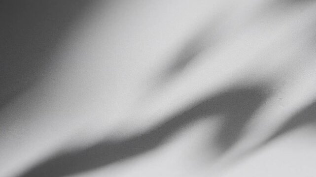 Wall interior background, studio and backdrops show products.with shadow from window color white and grey. background for text insertion and presentation product	