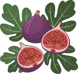 Ripe Purple Figs with Green Leaves on White Background Keywords: fig, figs, fruit, purple, green, leaves, whole, halved, cut, seeds