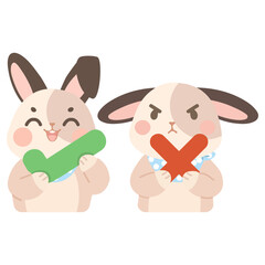 Rabbit Illustration with Check and Cross Symbols