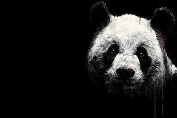 Panda Cute Yet Unique Animal Posing on a Deep Black Background Highlighting Its Distinctive Features and Charming Appearance