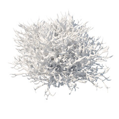 Lilac bush snow covered top view isolated transparent background photo realistic 3d rendering PNG 16 bit with alpha channel
