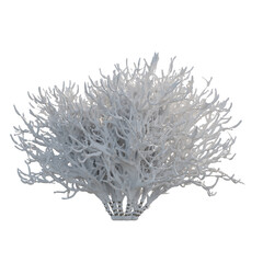 Lilac bush snow covered isolated transparent background photo realistic 3d rendering PNG 16 bit with alpha channel
