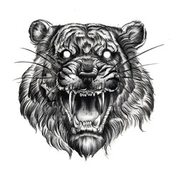 Schizzo a matita fatto a mano di una testa di tigre ruggente. Scansione grafica di alta qualit&agrave; per idee tatuaggio, stampe d'arte e design. Opera manuale dettagliata in stile dark art.